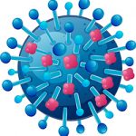 influenza virus