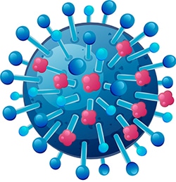 influenza virus