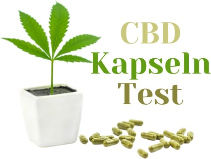 CBD Kapseln Test